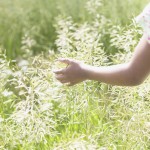 journal writing - shown by girl running hand through tall grass